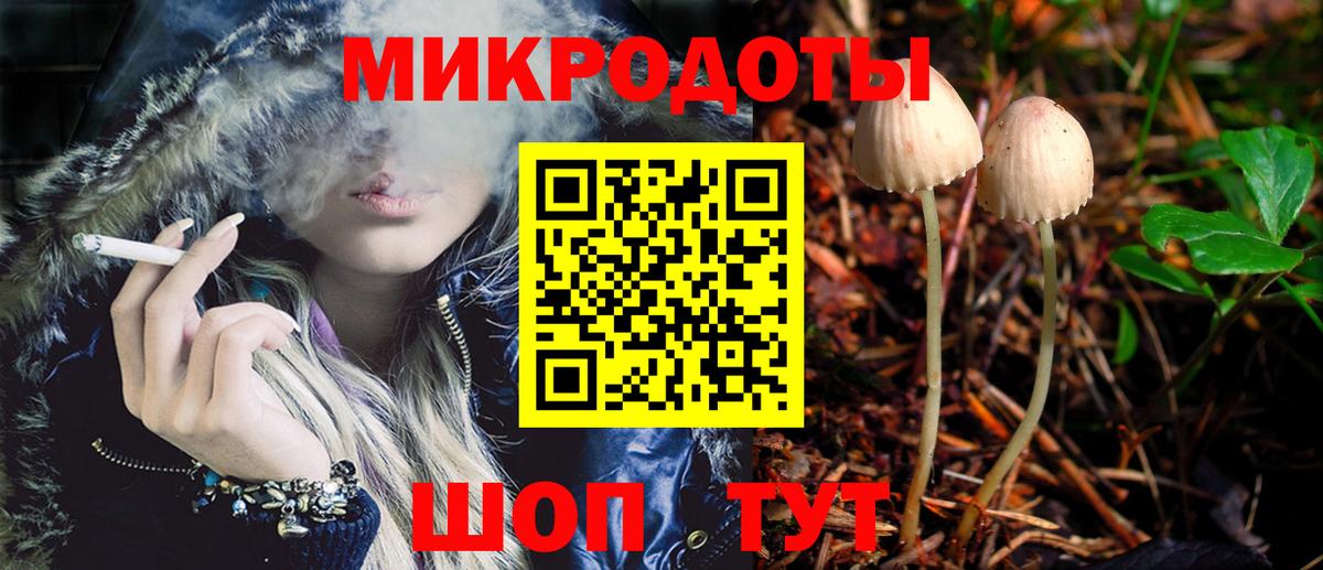 Реутов  Псилоцибиновые грибы Psilocybine cubensis  Вход с VPN 